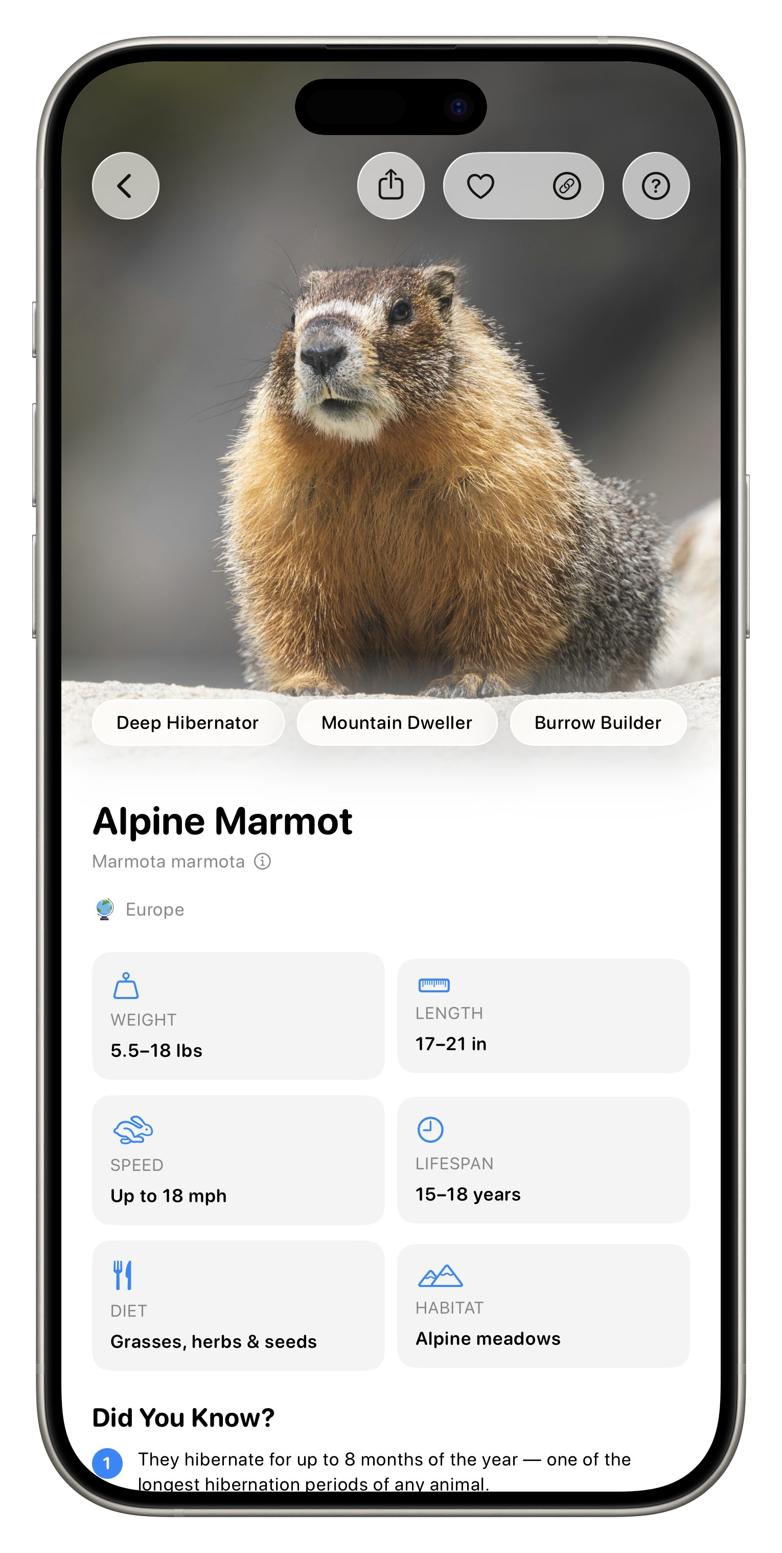 Fauna App Screenshot